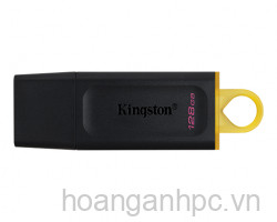 USB Kingston 128GB DataTraveler Exodia DTX/128GB (USB 3.2) 