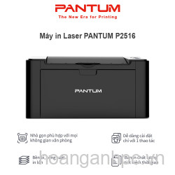 Máy in đơn chức năng Pantum P2516