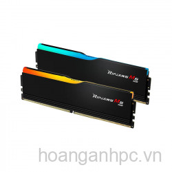 DDRam V Gskill 32GB (2 thanh 16GB x 2) F5-6000J3648D16GX2-RM5RK 